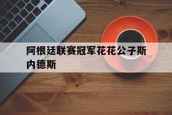 阿根廷联赛冠军花花公子斯内德斯